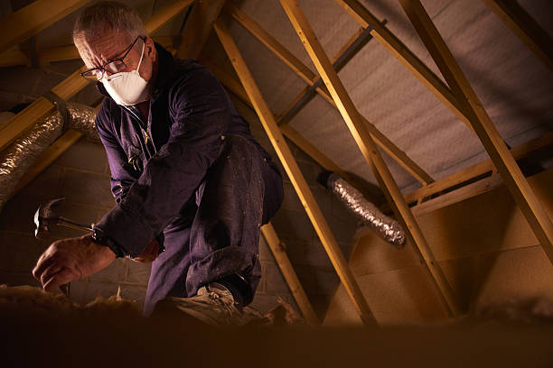 Best Eco-Friendly Insulation in Rancho Laveras, CA